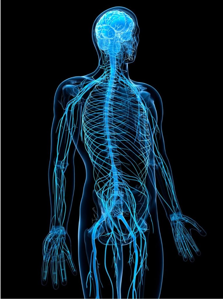 Chroniczny ból nocyplastyczny, to przewlekły ból, który może być generowany przez fałszywe sygnały nadwrażliwego układu nerwowego.
