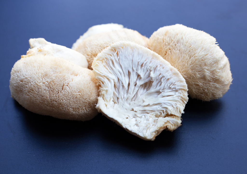soplówka jeżowata. Lion's Mane. soplówka jeżowata na co. soplówka jeżowata właściwości. grzyby lecznicze
