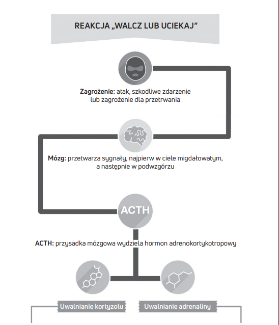 Reakcja walcz albo uciekaj, dr Daniel G. Amen, Twój mózg bez lęku
