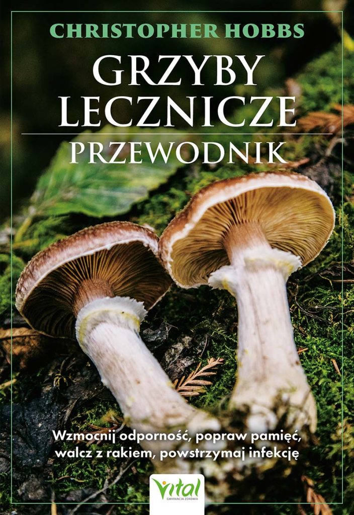 Grzyby lecznicze - przewodnik
